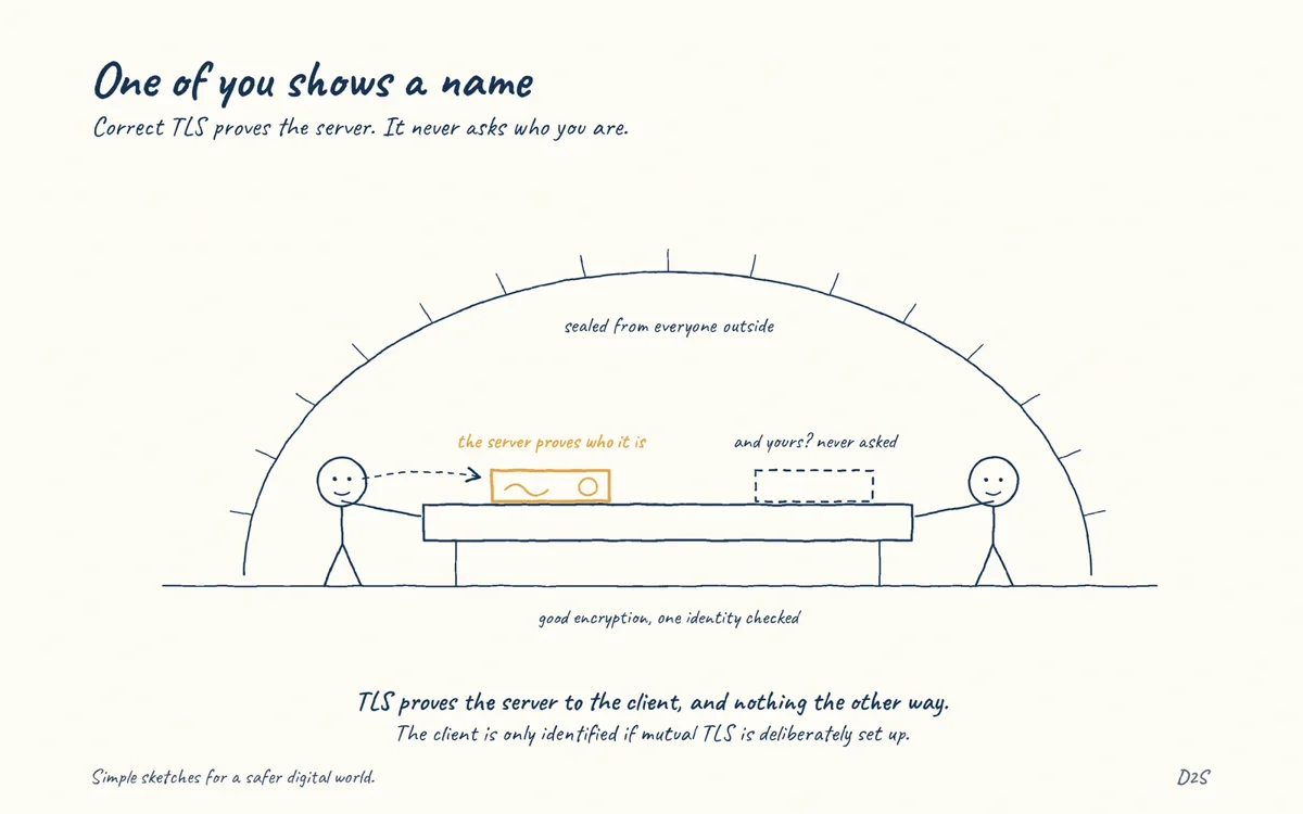 Hand-drawn sketch: One of you shows a name. Correctly configured TLS protects data in transit and proves the server's identity to the client.