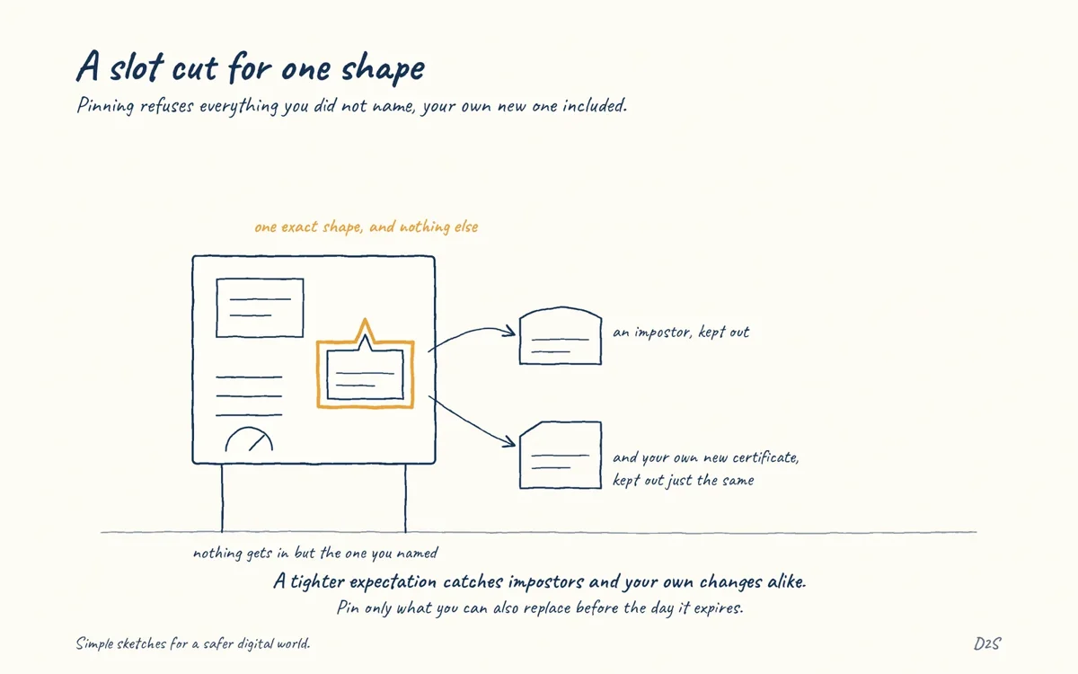 Hand-drawn sketch: A slot cut for one shape. Pinning refuses everything you did not name, your own new one included.