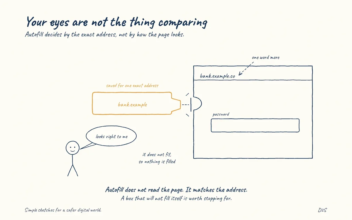 Hand-drawn sketch: Your eyes are not the thing comparing. Autofill decides by the exact address, not by how the page looks.